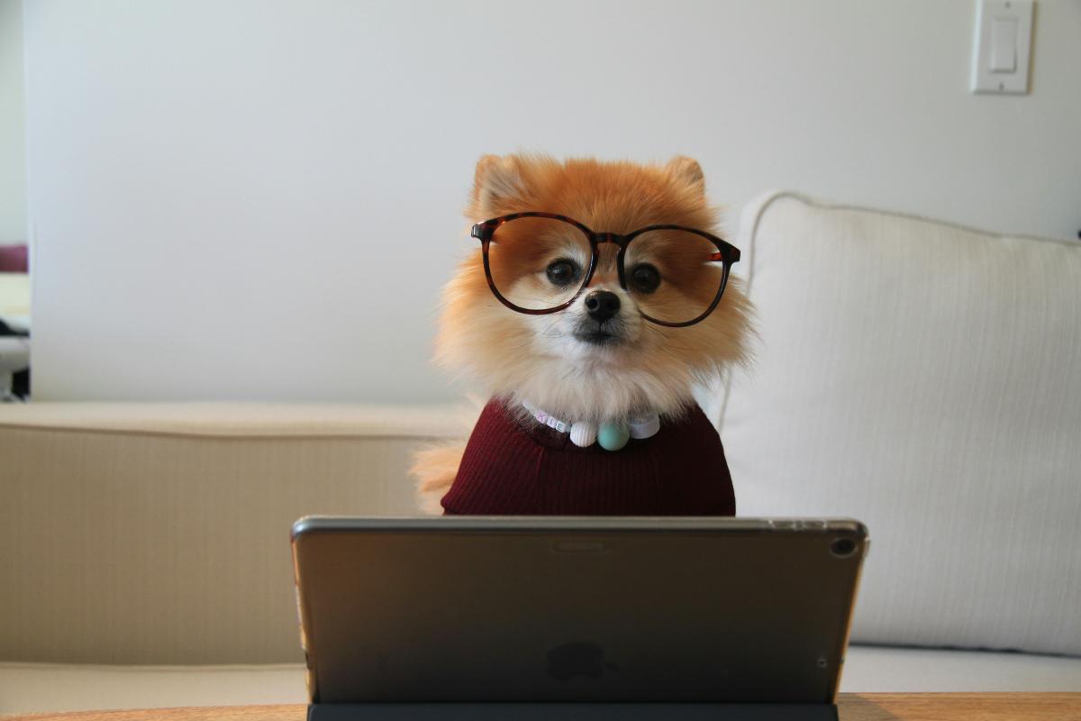 Want to Step Up Your Skills? You Need to Read This First